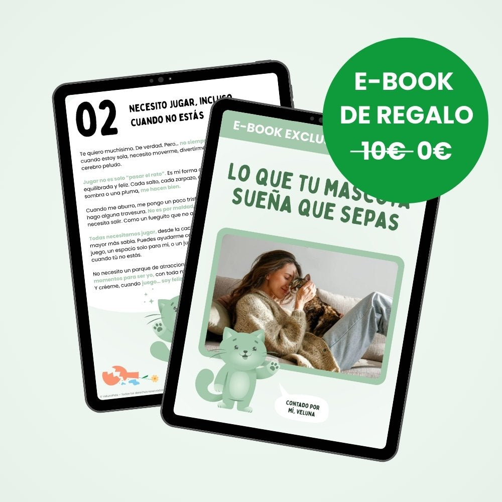 Pelota inteligente e interactiva para tu gato – Recargable por USB