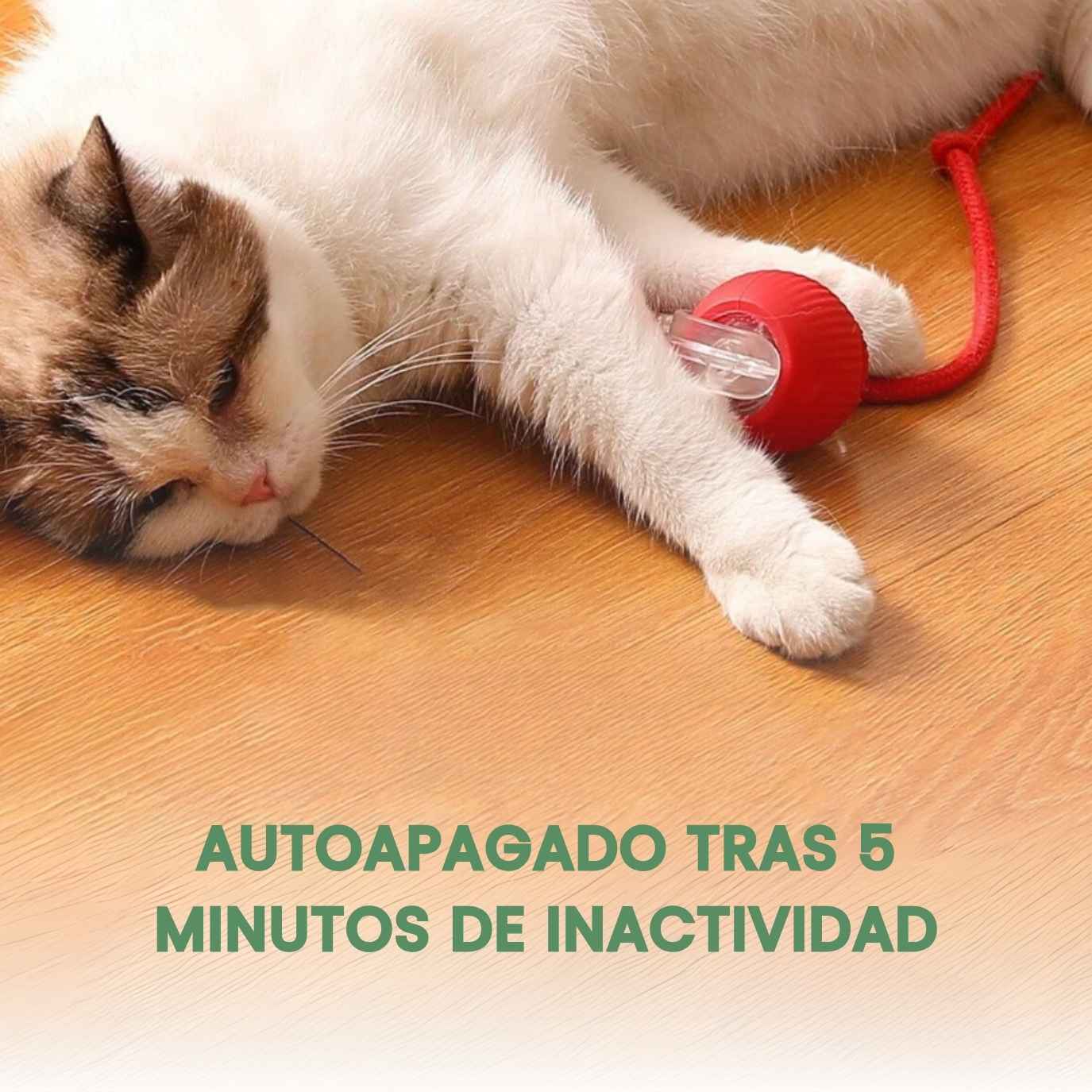 Pelota inteligente e interactiva para tu gato – Recargable por USB