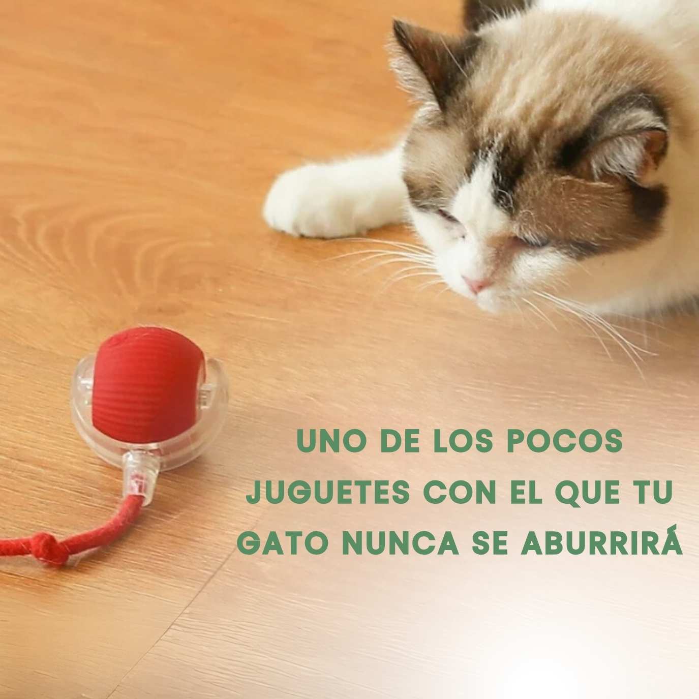 Pelota inteligente e interactiva para tu gato – Recargable por USB